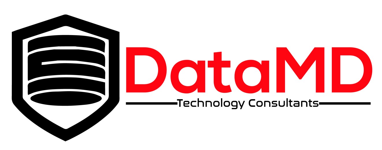 DataMD Technology Consultants Logo